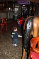 IMG_8090 (Large)_ergebnis